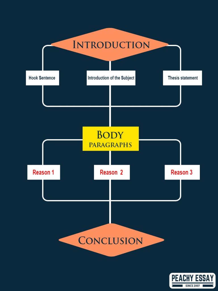 Evaluation Essay Structure