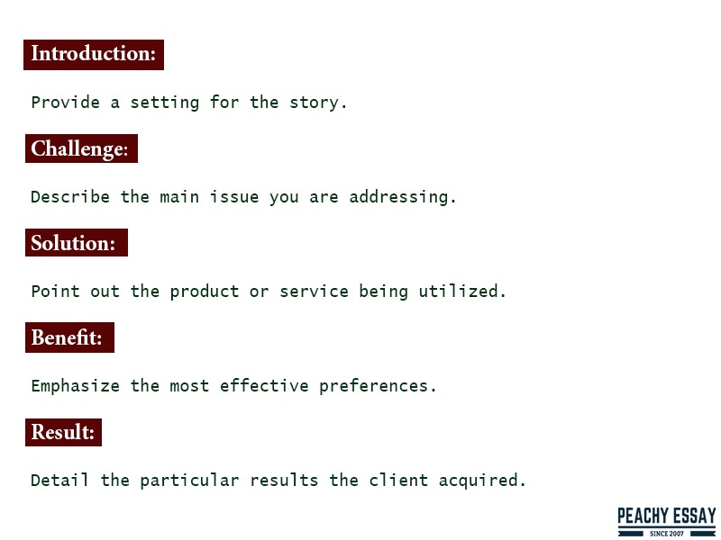 Best Case Study Format