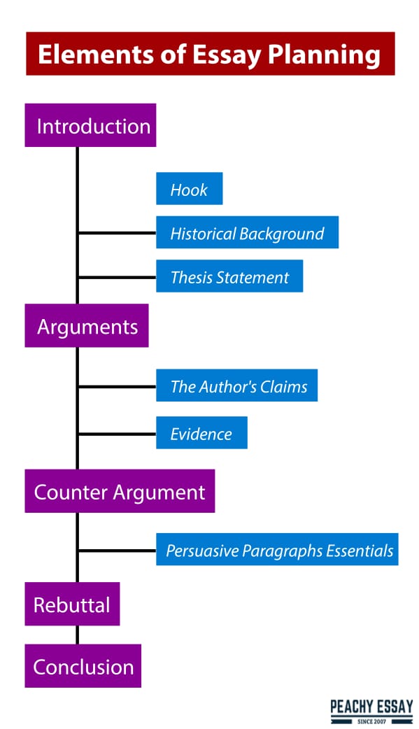 Elements of Essay Planning