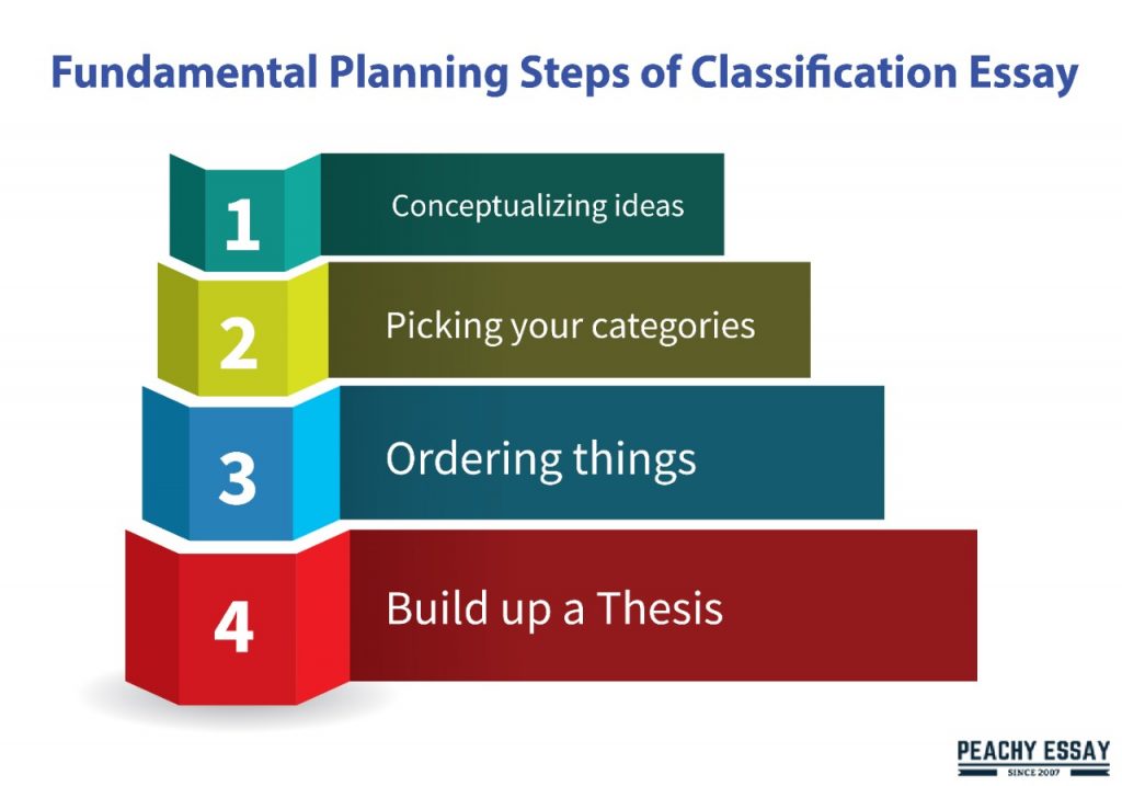 steps of classification essay