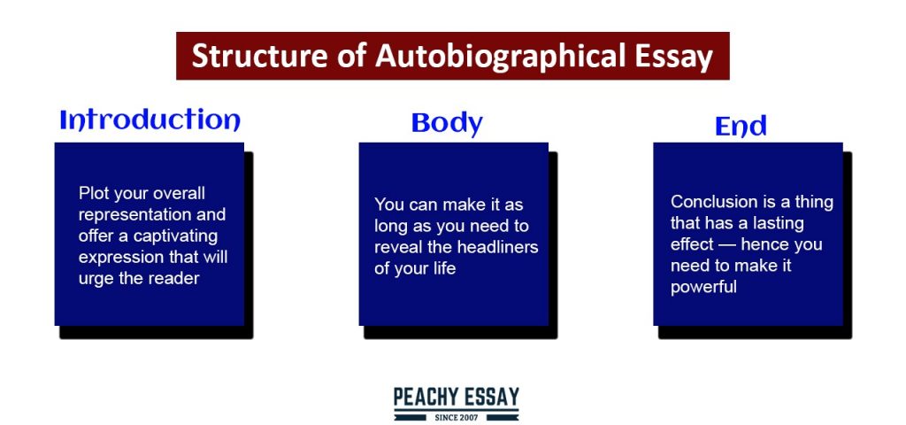 Structre of Autobiography